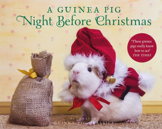 Guinea Pig Night Before Christmas 9781526613561 Clement Clarke Moore