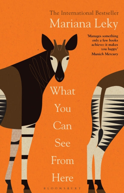 Book cover of: What You Can See From Here