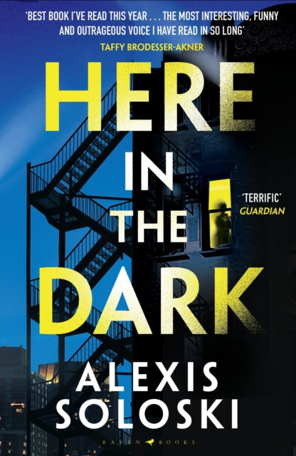 Book cover of: Here in the Dark