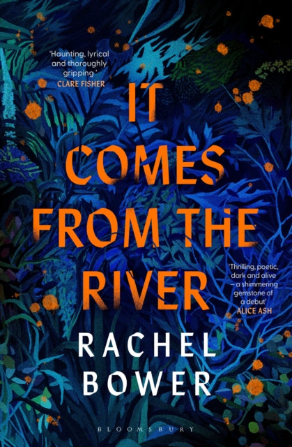 Book cover of: It Comes from the River