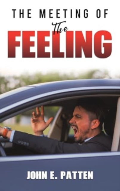 Book cover of: Meeting of the Feeling