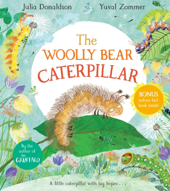 Woolly Bear Caterpillar 9781529012200 Julia Donaldson