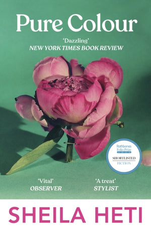 Pure Colour, the new novel from the author of Motherhood and How Should A Person Be?