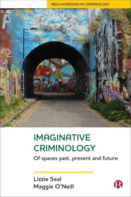 Book cover of: Imaginative Criminology. By: Lizzie Seal