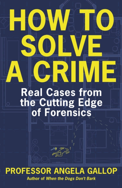 Book cover of: How to Solve a Crime. By: Angela Gallop