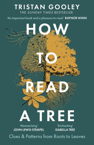 How to Read a Tree, A must-have for all nature lovers - perfect reading for your summer adventures