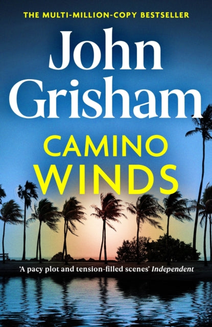 Camino Winds, The Ultimate Murder Mystery from the Greatest Thriller Writer Alive