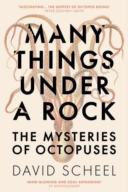 Book cover of: Many Things Under a Rock. By: David Scheel