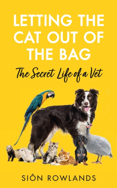 Book cover of: Letting the Cat Out of the Bag. By: Sion Rowlands