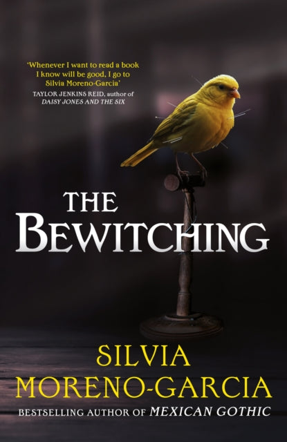 Book cover of: Bewitching