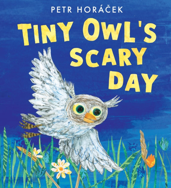 Book cover of: Tiny Owl's Scary Day. By: Petr Horácek