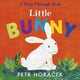 Book cover of: Little Bunny
