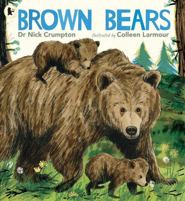Book cover of: Brown Bears
