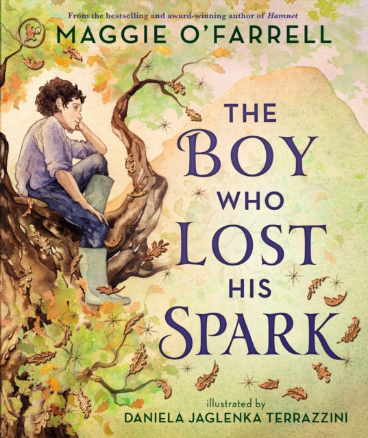 Book cover of: Boy Who Lost His Spark