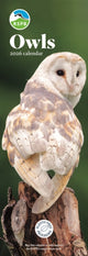 Book cover of: Rspb Owls Slim Calendar 2026