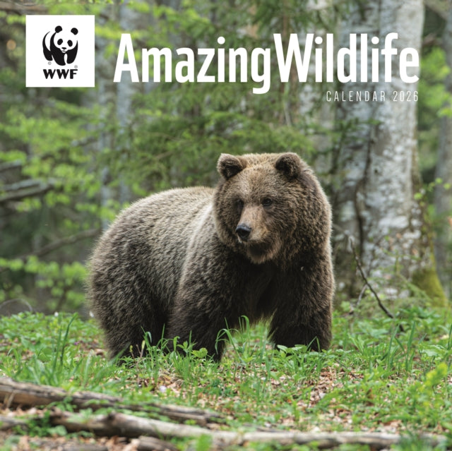 Book cover of: Wwf Amazing Wildlife Square Wall Calenda