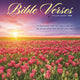 Book cover of: Bible Verses Square Wall Sunday Start Ca. By: Tangible Stationery Company