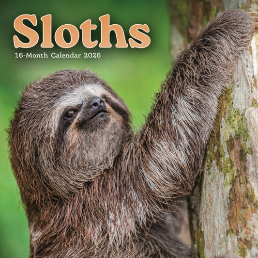 Book cover of: Sloths Square Mini Sunday Start Calendar