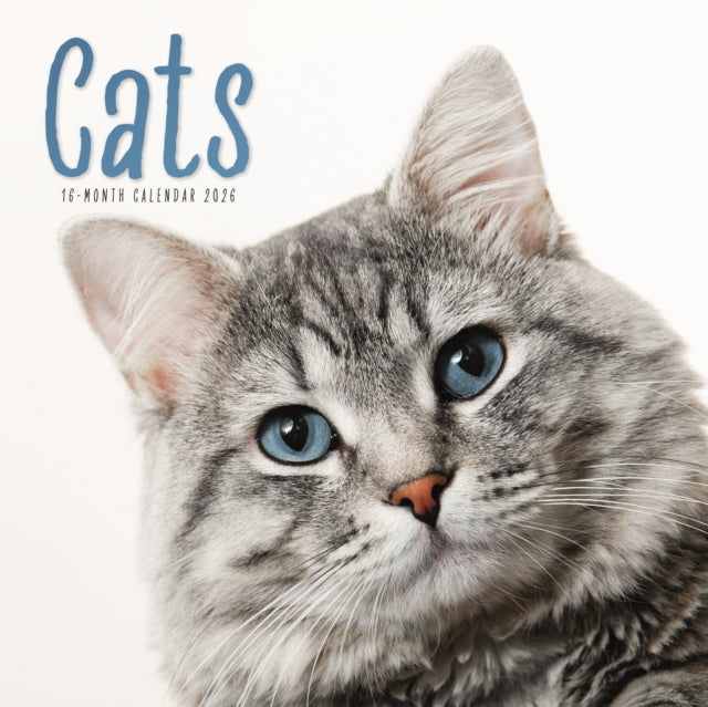 Book cover of: Cats Square Wall Calendar 2026