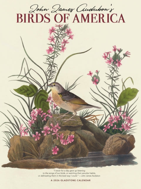Book cover of: Audubons Birds Of America Deluxe Wall Su
