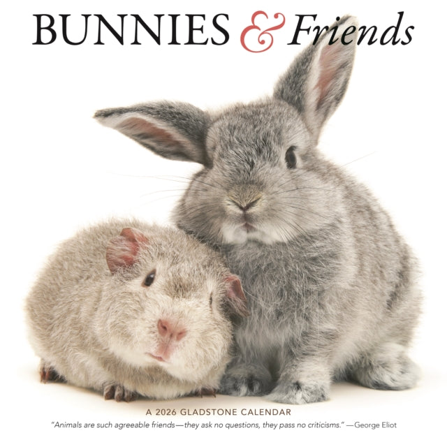 Book cover of: Bunnies Friends Square Wall Sunday Start