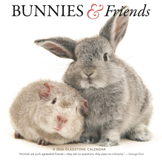Book cover of: Bunnies Friends Square Wall Sunday Start