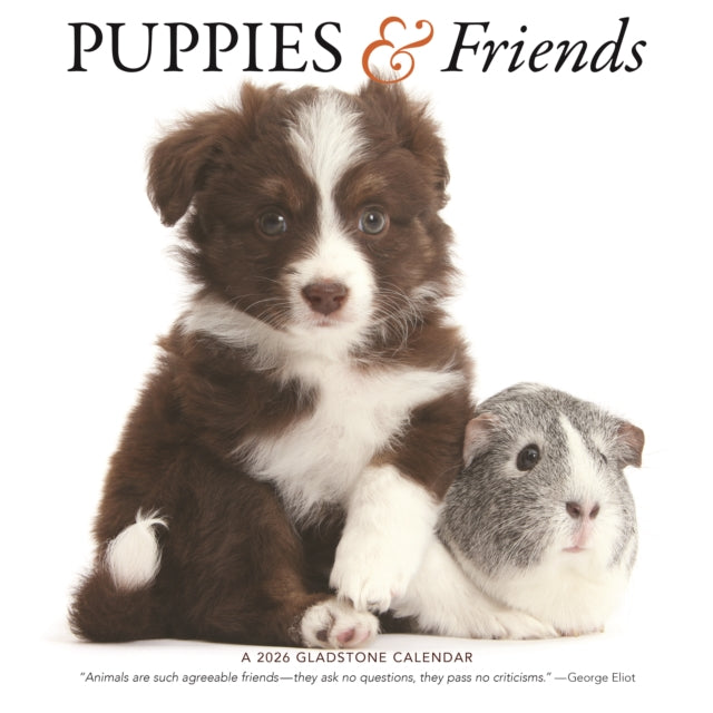 Book cover of: Puppies Friends Square Wall Sunday Start