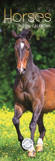 Book cover of: Horses Slim Calendar 2026