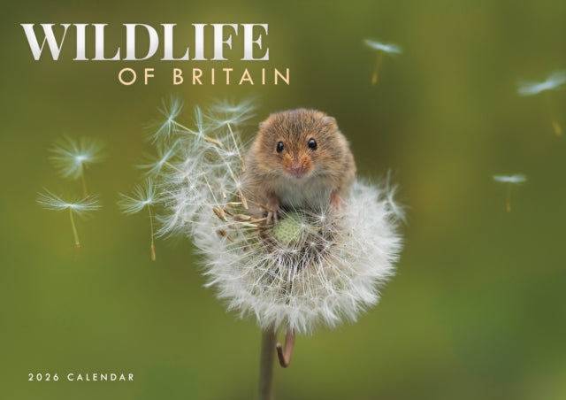 Book cover of: Wildlife Of Britain A4 Calendar 2026