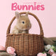 Book cover of: Bunnies Square Mini Calendar 2026