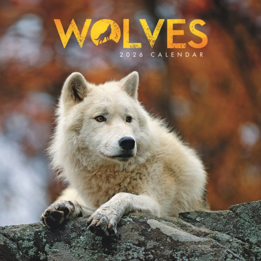 Book cover of: Wolves Square Mini Calendar 2026