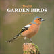 Book cover of: British Garden Birds Square Mini Calenda