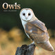 Book cover of: Owls Square Mini Calendar 2026