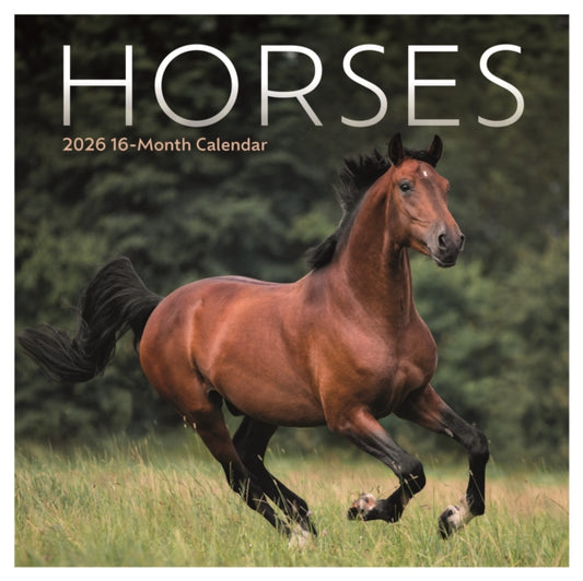 Book cover of: Horses Square Mini Sunday Start Calendar