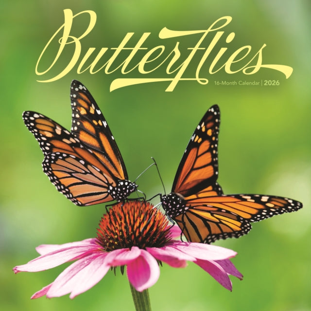 Book cover of: Butterflies Square Wall Sunday Start Cal