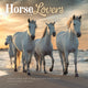Book cover of: Horse Lovers Square Wall Sunday Start Ca