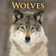 Book cover of: Wolves Square Wall Sunday Start Calendar