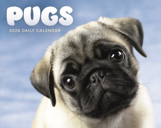 Book cover of: Pugs Box Calendar 2026