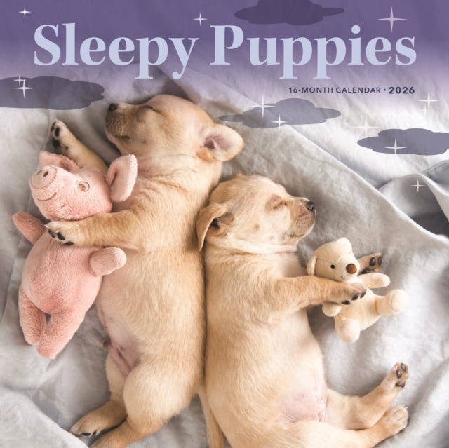 Book cover of: Sleepy Puppies Square Mini Sunday Start