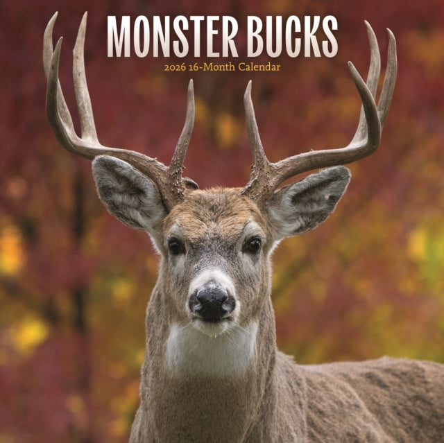 Book cover of: Monster Bucks Square Wall Sunday Start C