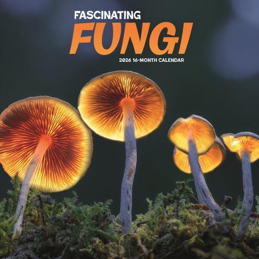 Book cover of: Fascinating Fungi Square Wall Sunday Sta