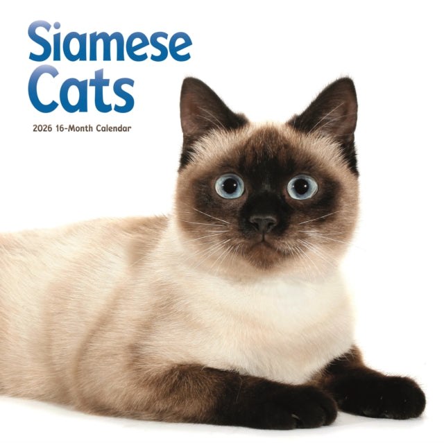 Book cover of: Siamese Cats Square Wall Sunday Start Ca