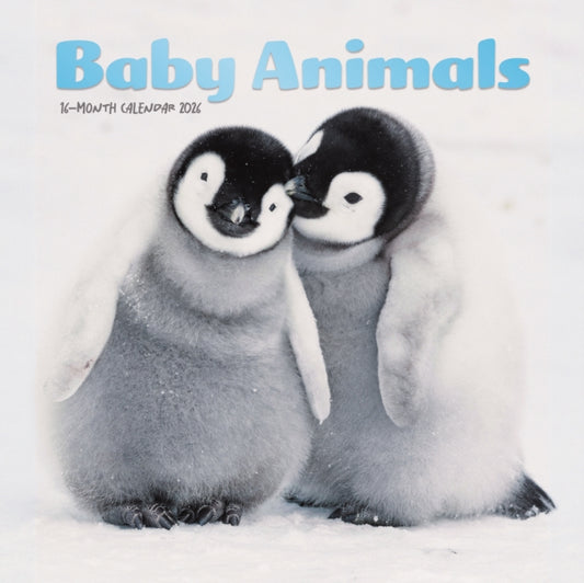 Book cover of: Baby Animals Square Mini Sunday Start Ca