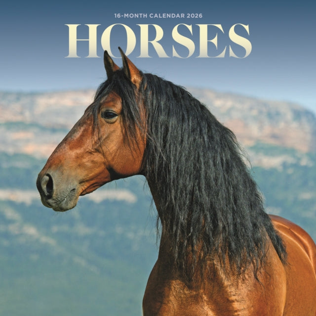 Book cover of: Horses Square Mini Sunday Start Calendar