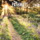 Book cover of: Pathways Square Wall Sunday Start Calend