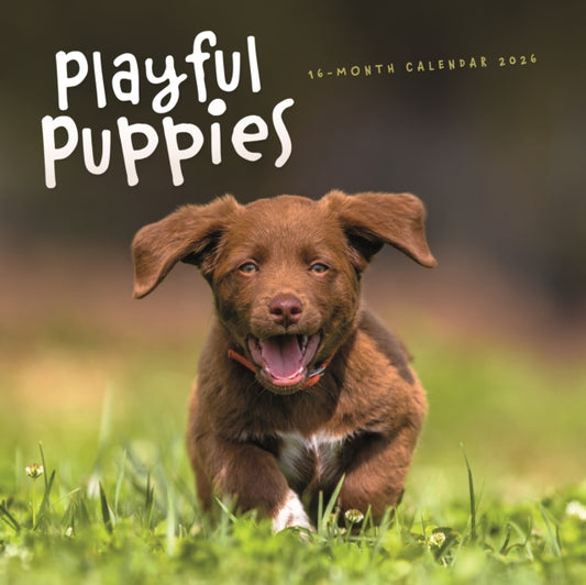 Book cover of: Playful Puppies Square Wall Sunday Start