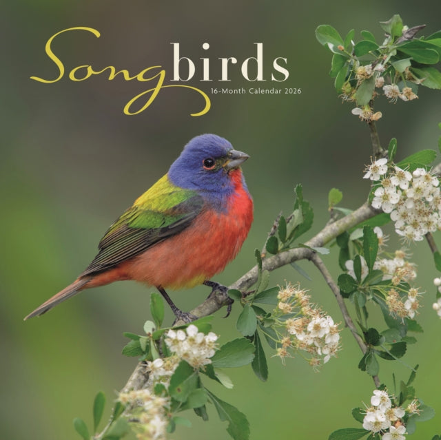 Book cover of: Songbirds Square Wall Sunday Start Calen