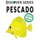 Book cover of: Pescado. By: Xist Publishing