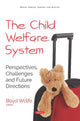 Book cover of: Child Welfare System. By: Boyd Wolfe