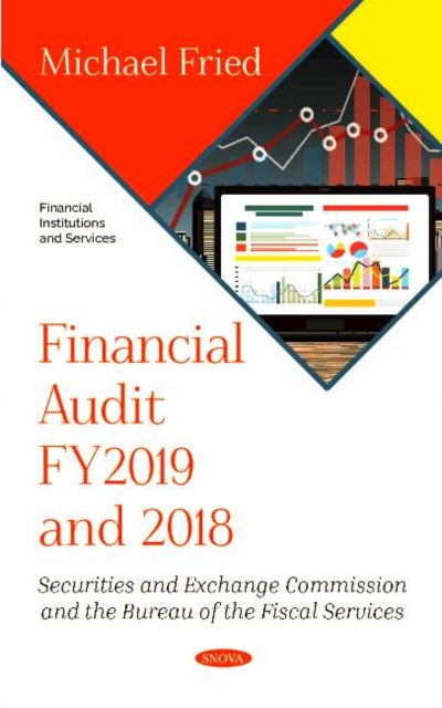 Book cover of: Financial Audit FY2019 and 2018. By: Michael Fried